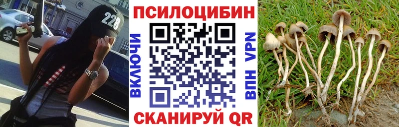 МЕГА зеркало  Череповец  Галлюциногенные грибы Psilocybine cubensis 